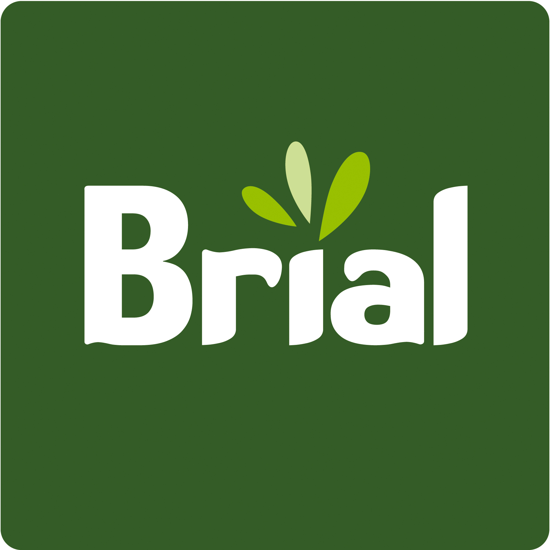Logo de Brial